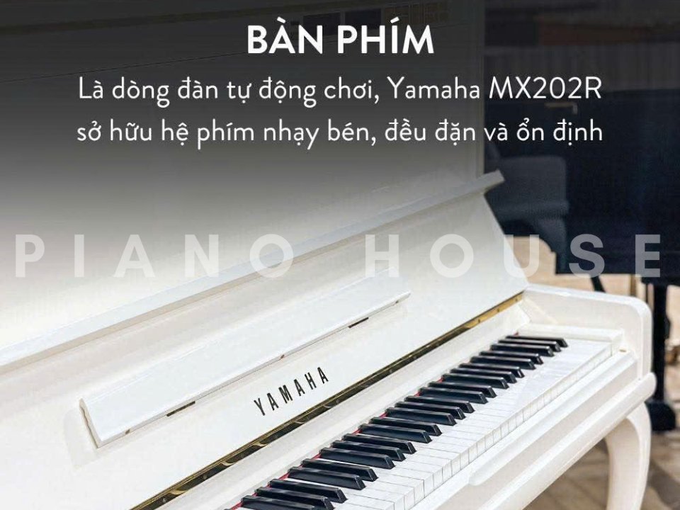 Hình ảnh chi tiết YAMAHA MX202R WH góc chụp 2
